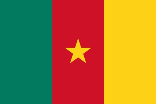 Paket mit 3 Flaggen Kamerun Art.-Nr. 0700000237