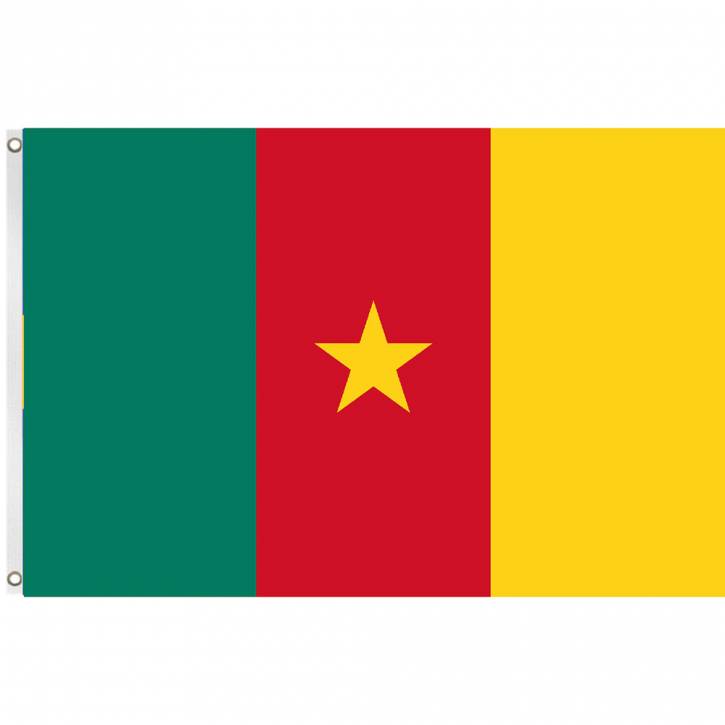 Paket mit 3 Flaggen Kamerun Art.-Nr. 0700000237a
