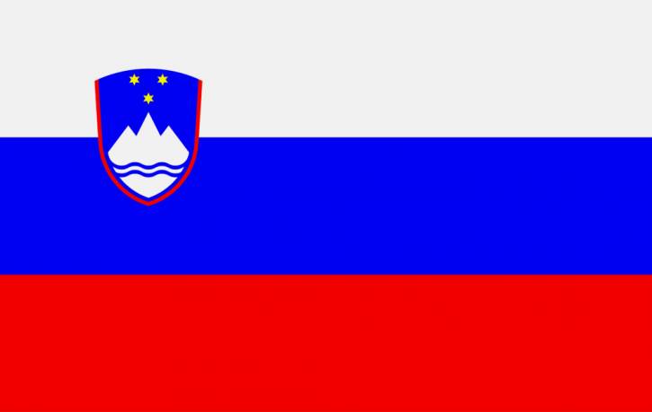 Paket mit 3 Flaggen Slowenien 0700000221