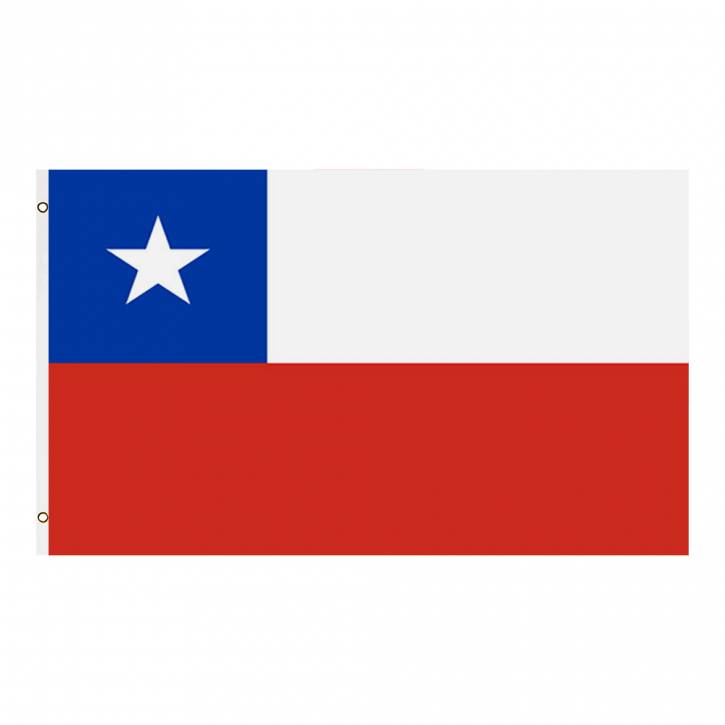 Package with 10 countries flag Chile Art.-No. 0700000056a