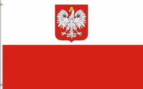 Paket mit 10 Länderflaggen Polen mit Ösen Art. Nr. 0700000048a
