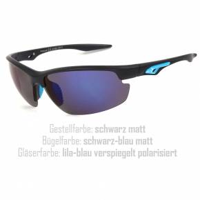 Package of 12 Polarized Sunglasses Nr. 6016