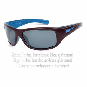 Package of 12 Polarized Sunglasses Nr. 6041