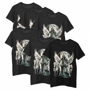 Pack of 6 WILD brand t-shirts ART6123-W0080