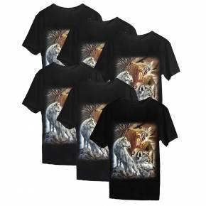 Pack of 6 WILD brand t-shirts ART6129-W0139